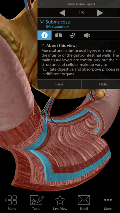 Physiology & Pathology Screenshot