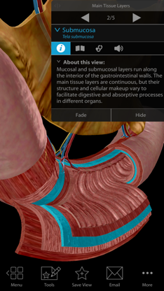Physiology & Pathology screenshot 6