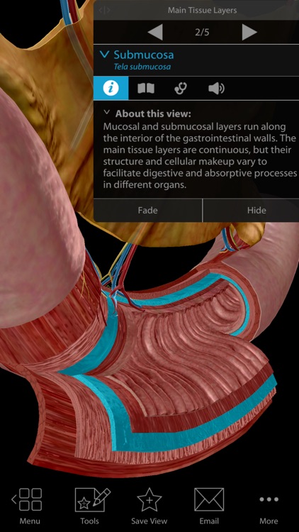 Physiology & Pathology screenshot-5