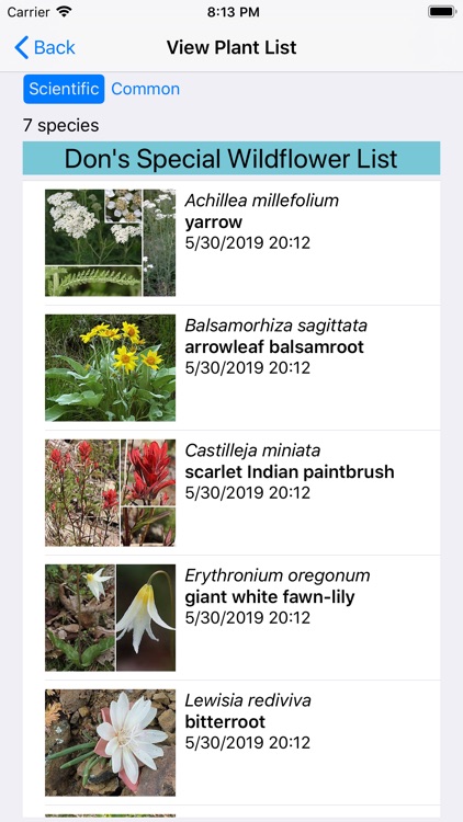 Washington Wildflower Search screenshot-7