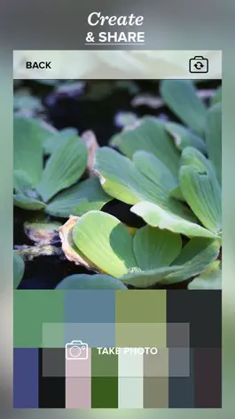 Game screenshot Color Viewfinder - palette mod apk