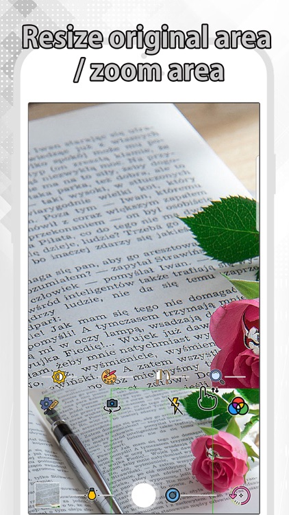 Dual Screen Magnifier