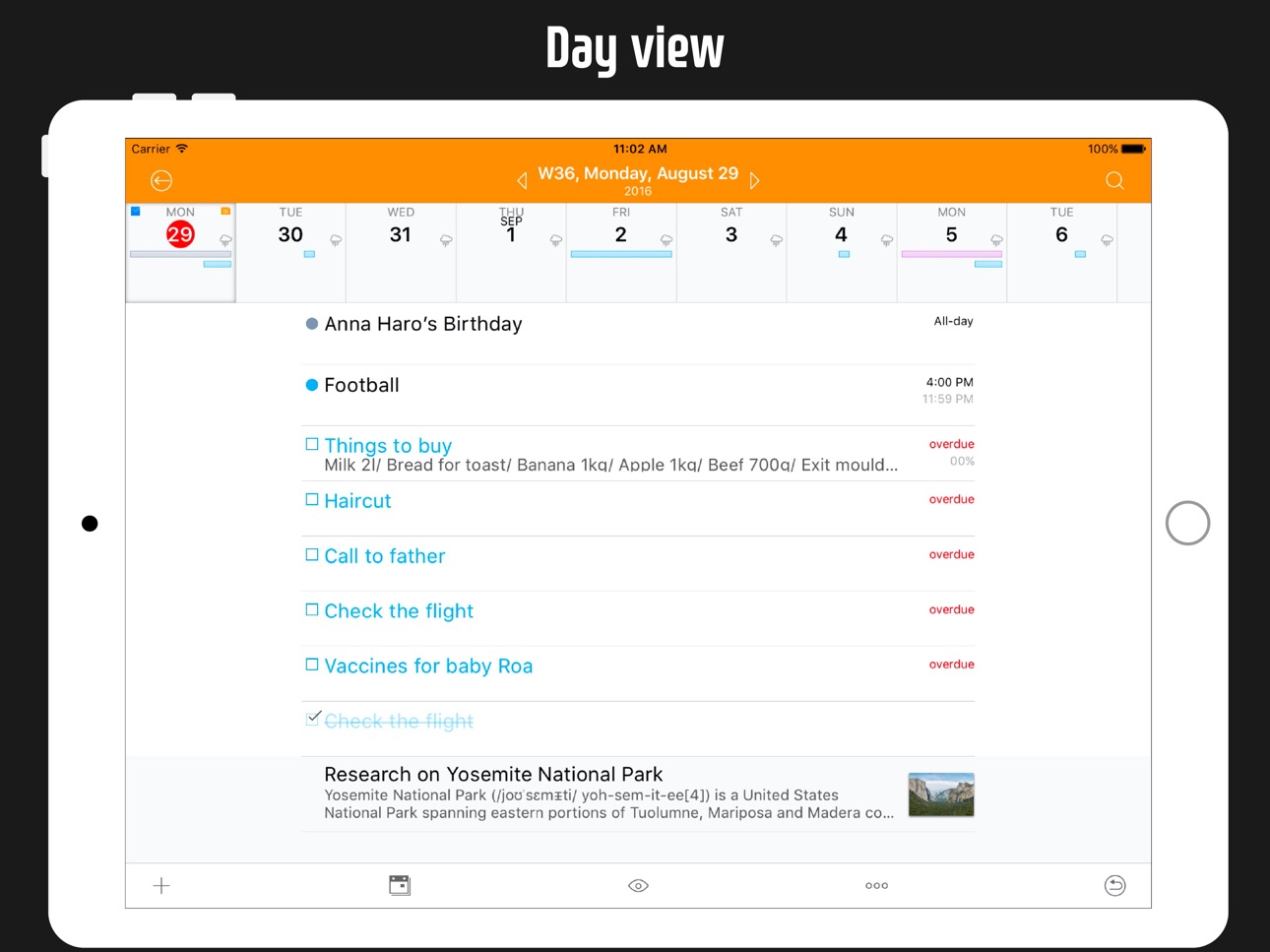 iPad screenshot