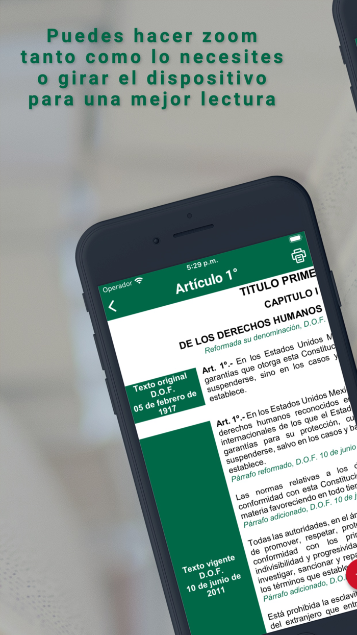 Constitución Mexicana