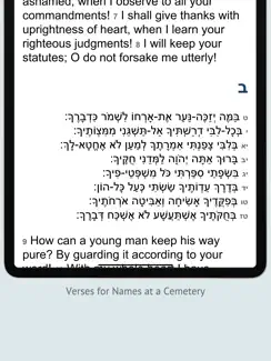 Tehilim תהלים Tehillim Psalms iPad image 4