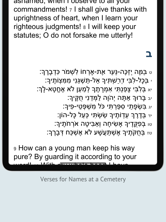 Tehilim תהלים Tehillim Psalms iPad screenshot 4 - Reference app