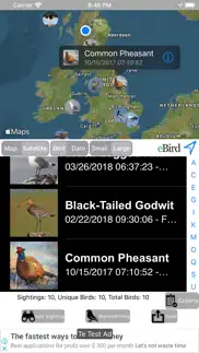 big year birding gb iphone screenshot 2