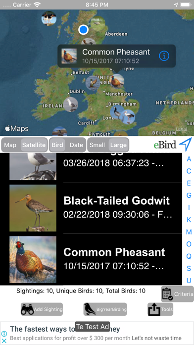Big Year Birding GB Screenshot