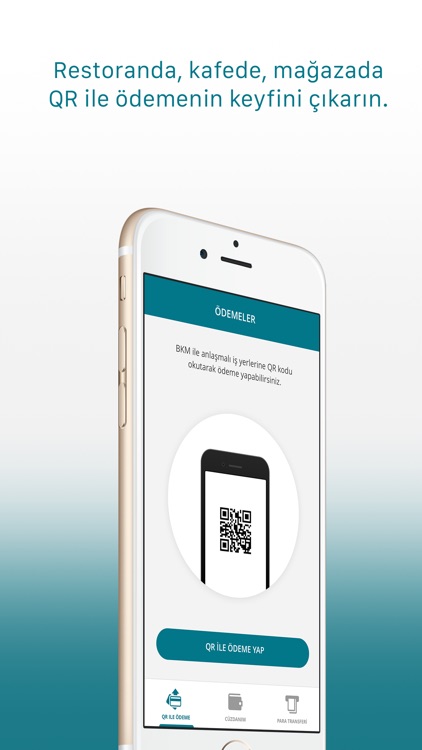 BKM Express screenshot-3