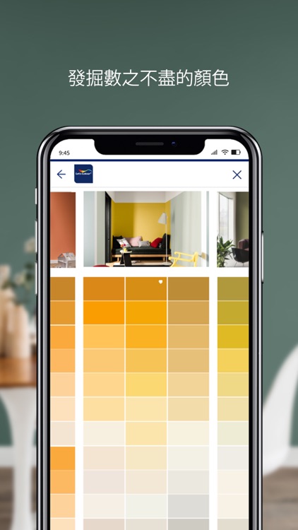 Dulux Visualizer HK