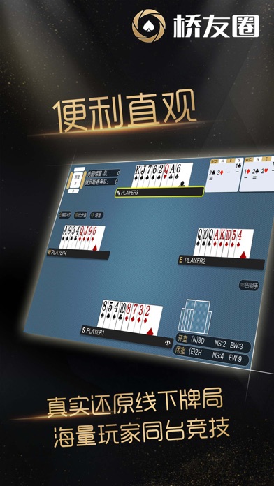 bridge friends Screenshot