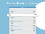 Бюджет - Расходы и Доходы айпад изображения 4