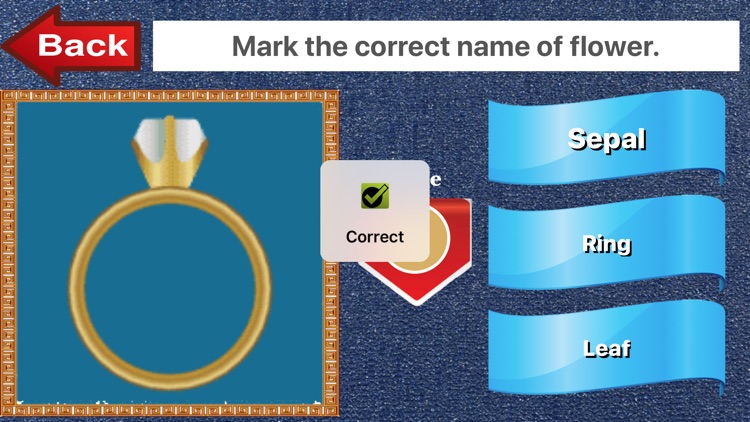 Photo Identifier Games screenshot-3