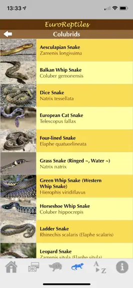 Game screenshot EuroReptiles hack