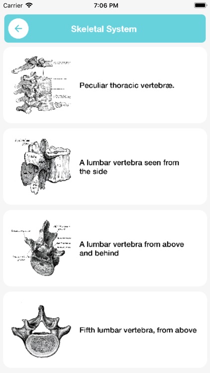 Offline Anatomy Guide