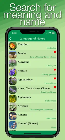 Game screenshot Language of Nature apk