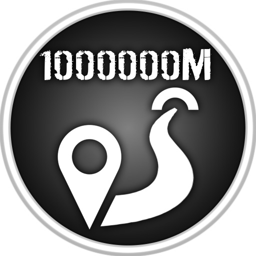 Total 1000000M