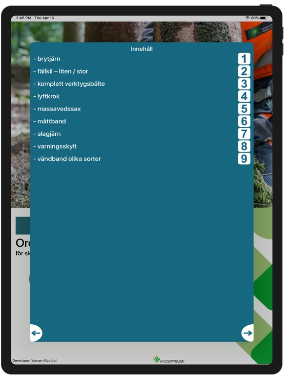 Screenshot #5 pour Motorsåg B1 Verktyg