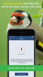 bird song id uk iphone bildschirmfoto 2