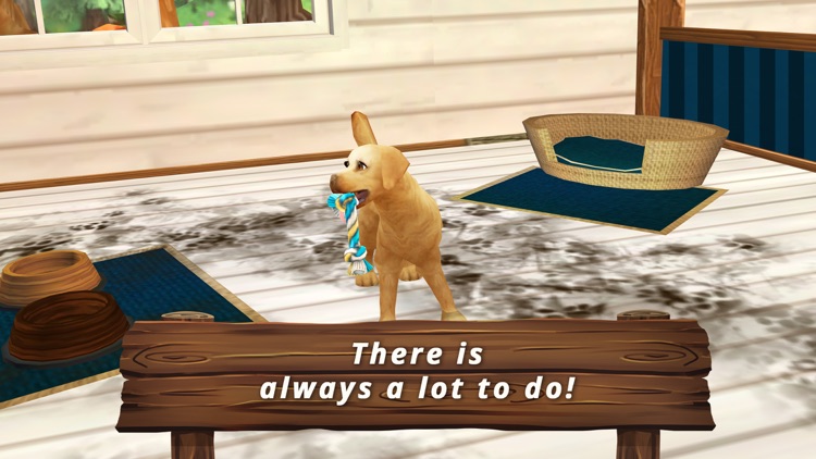Pet Hotel - My animal pension screenshot-4