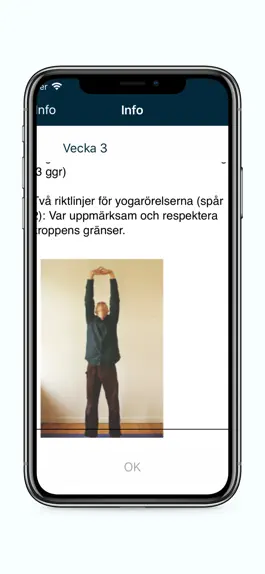 Game screenshot Oas - ett mindfulnessprogram hack