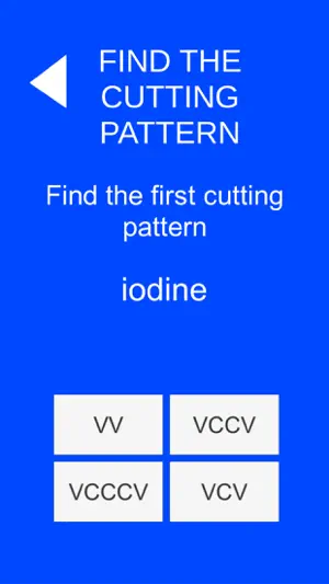 Name That Cutting Pattern screenshot 3