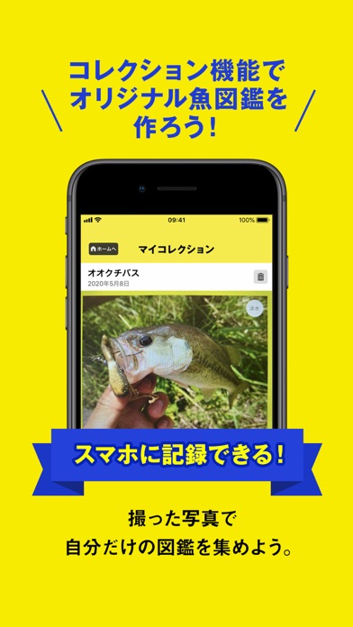 フィッシュ-AIが魚を判定する未来の魚図鑑のおすすめ画像5