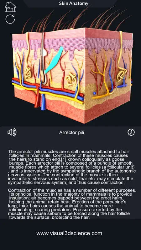 My Skin Anatomy screenshot 5 of 8