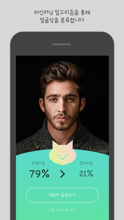 강아지 X 고양이