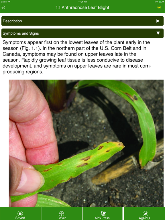 Corn Diseases iPad screenshot 5 - Reference app