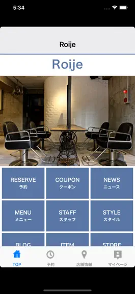 Game screenshot Roije mod apk