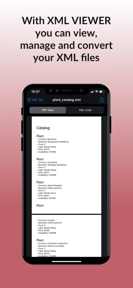 XML Viewer & converter to PDF