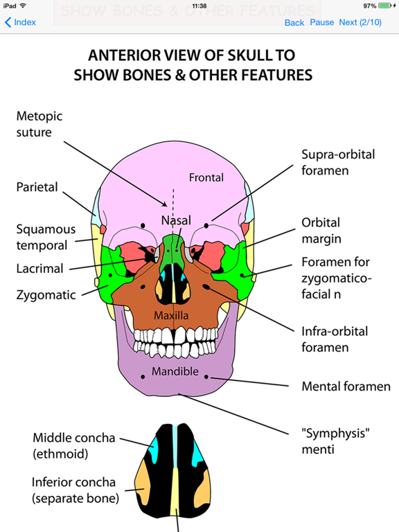 Anatomy Lectures Head and Neckのおすすめ画像1