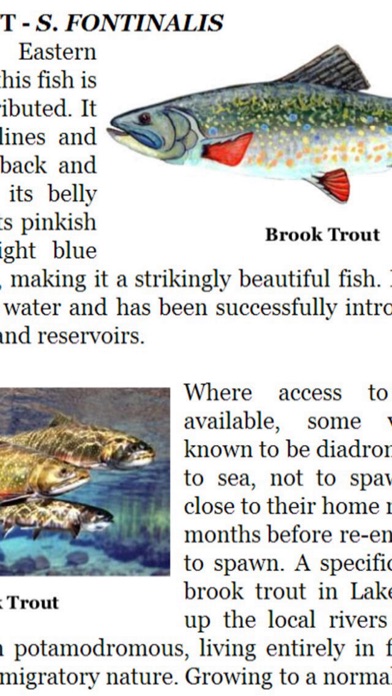 Fly Fishing Encyclopedia Paid Screenshot