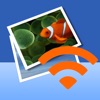 Camera & Photo Share HD