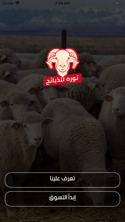 نوره للذبائح