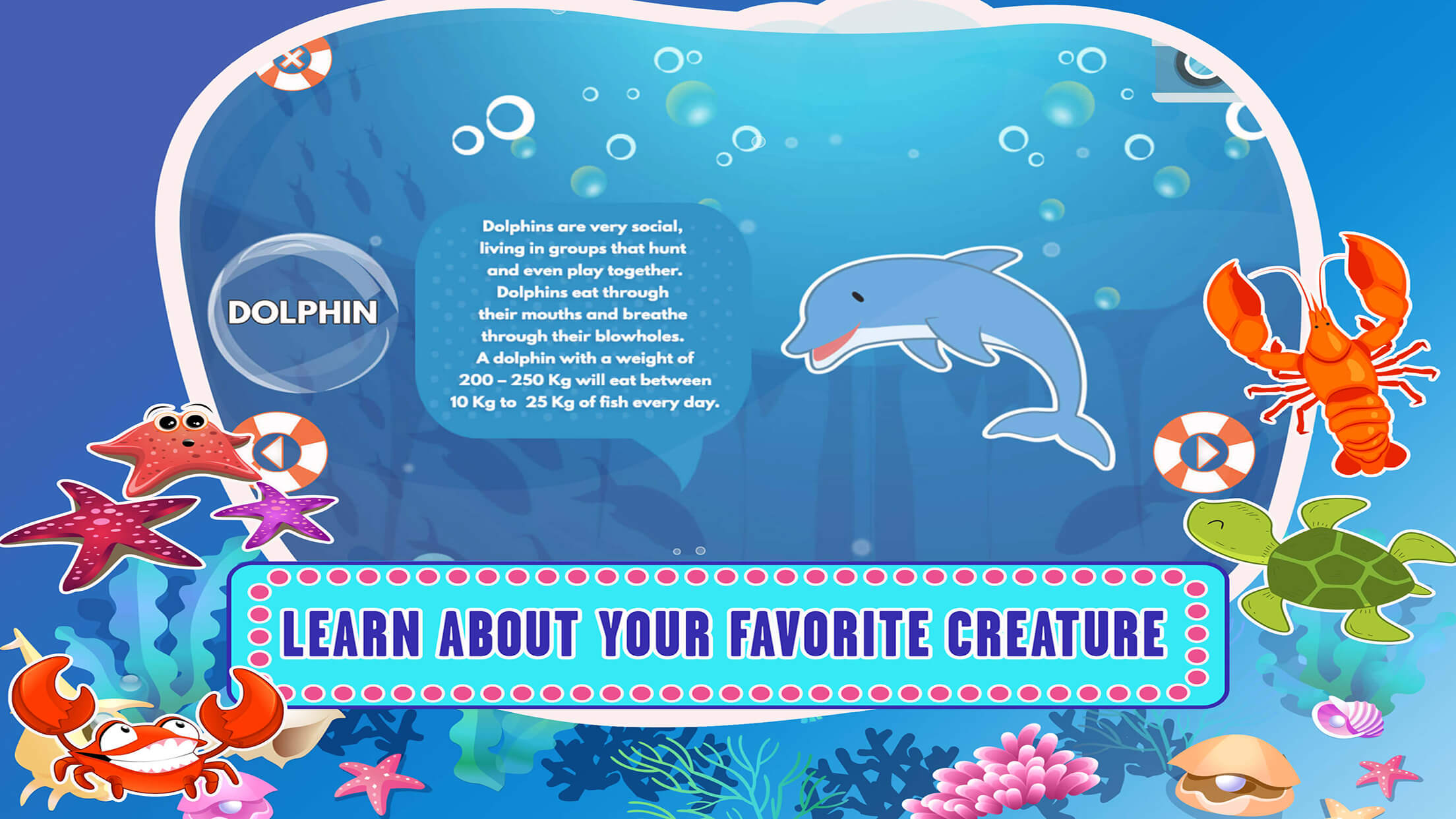 Learn Sea World Animal Games