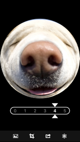Fisheye Magick screenshot