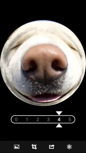 Fisheye Magick screenshot 3
