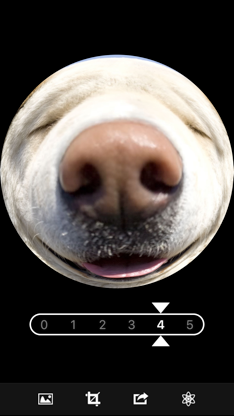 Fisheye Magick screenshot 3