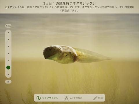 Froggipediaのおすすめ画像1