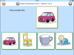 Verbal Comprehension screenshot 6