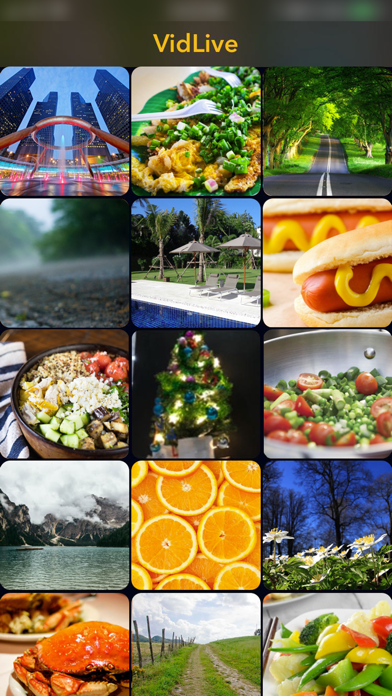 Screenshot #1 pour VidLive
