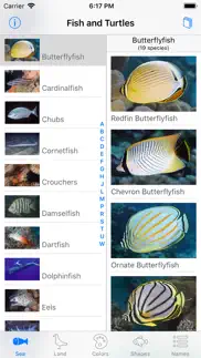palmyra atoll nature guide problems & solutions and troubleshooting guide - 3