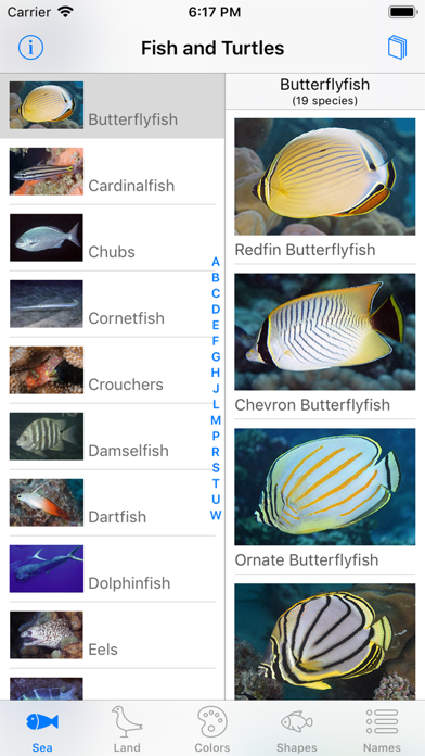 Palmyra Atoll Nature Guide Screenshot