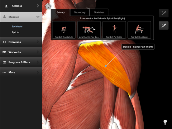 Screenshot #2 for iMuscle 2