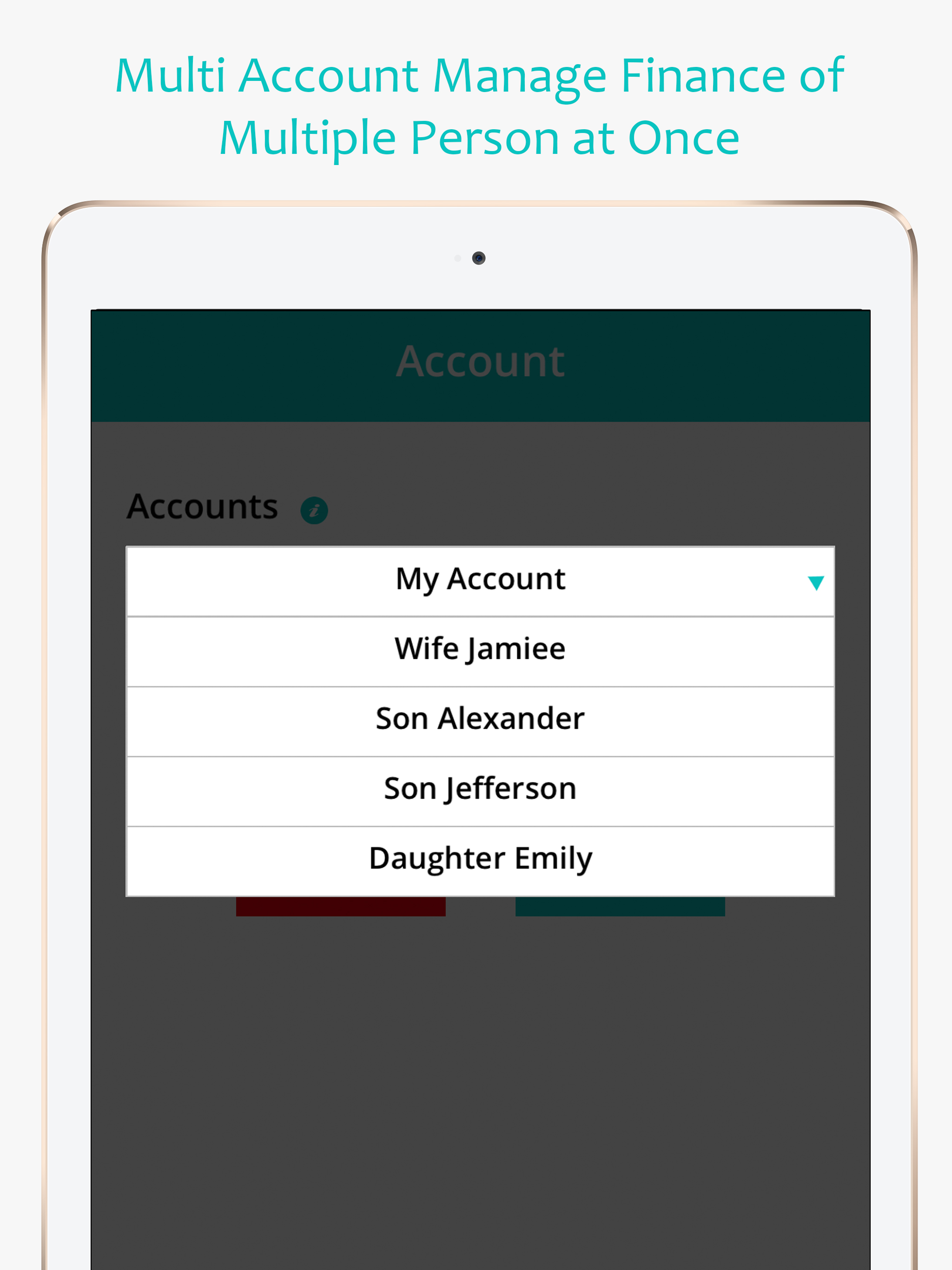 Money Expense Manager