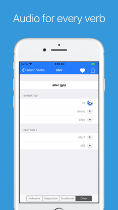 French Verb Conjugator Pro screenshot 2