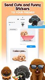 toy poodle dog emojis stickers iphone screenshot 4