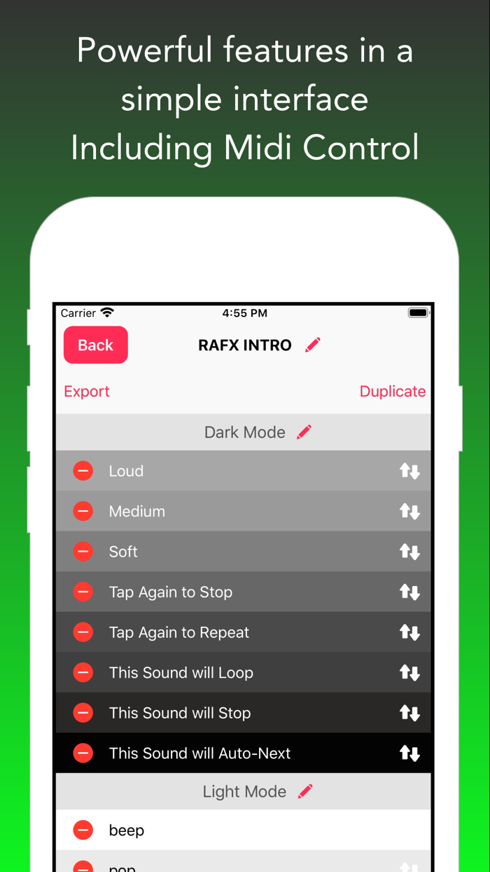 Run Audio FX by MSConcepts.com